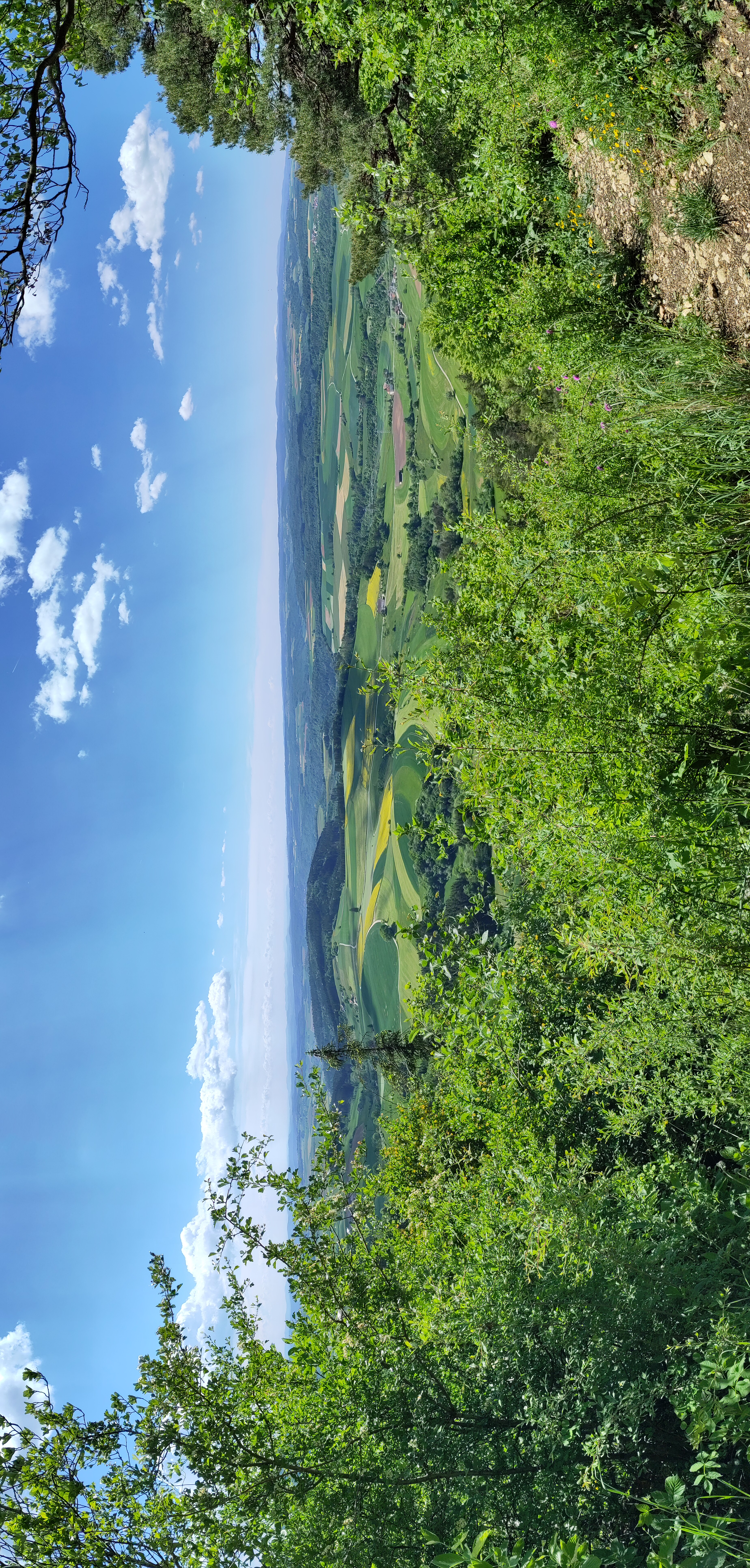Landschaft mit H�geln im Klettgau